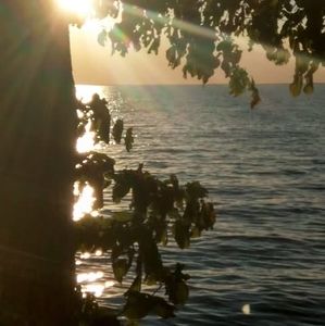 Meet your Posher, Tom